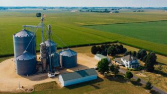 How Fieldstone Bio Uses Microbes to Detect Hidden Dangers