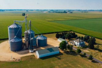 How Fieldstone Bio Uses Microbes to Detect Hidden Dangers